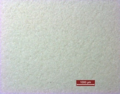 コーティング後