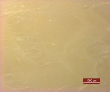 コーティング前