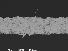 ヒドロキシアパタイト FP