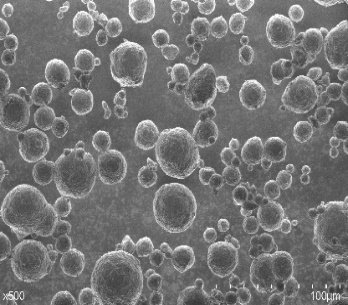 ヒドロキシアパタイト FP